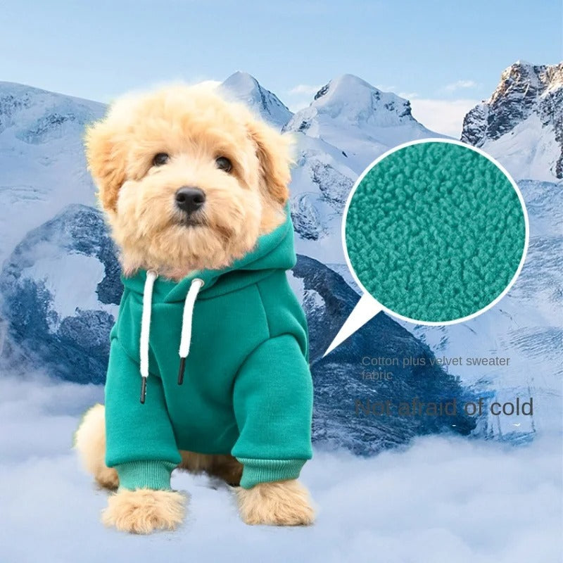 🔥 Bulldog & Husky Hoodie Pro! For Small/Medium Dogs⚡Outdoor Windproof Fleece🐾Chew-Resistant【Viral Pet Fashion】 🔥 Bulldog & Husky Hoodie Pro! For Small/Medium Dogs⚡Outdoor Windproof Fleece🐾Chew-Resistant【Viral Pet Fashion】